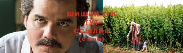 гашик Балахна