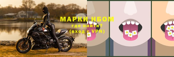 гашик Балахна