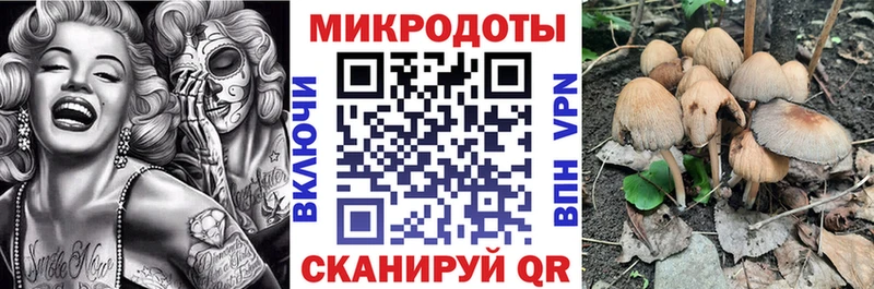 Псилоцибиновые грибы Psilocybe  Горбатов 